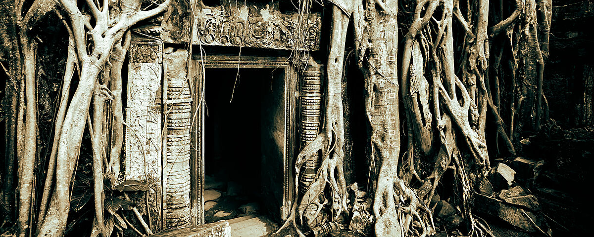 Ta-Prohm-Tempel, Kambodscha. Bild: Sam Antonio. Lizenz: http://creativecommons.org/licenses/by-nc/2.0/legalcode