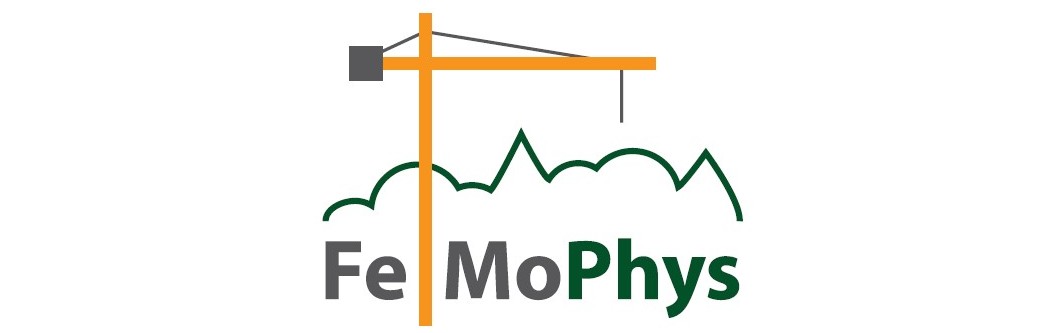 Logo FeMoPhys: Kran über der Silhouette von Baumkronen mit dem Schriftzug "FeMoPhys"