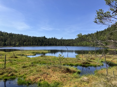 Lisia Kepa Poland 2025